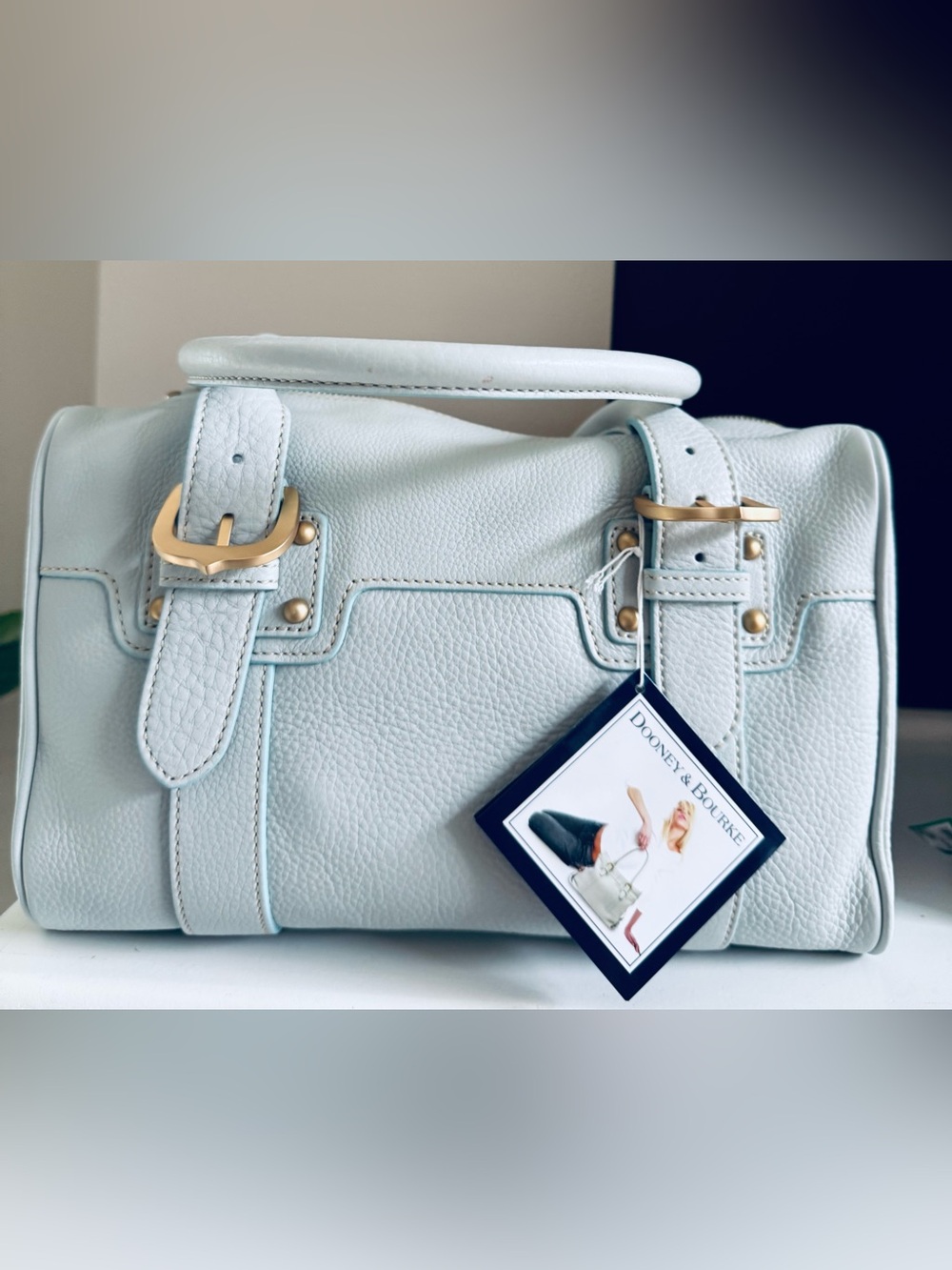 Dooney & Bourke Pale Blue Pebble Leather Satchel with Gold Hardware - Picture 1 of 6